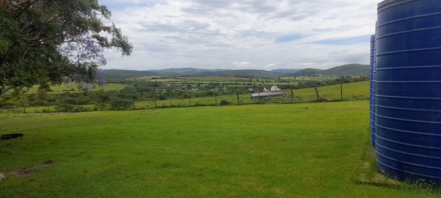 Commercial Property for Sale in Komga Rural Eastern Cape